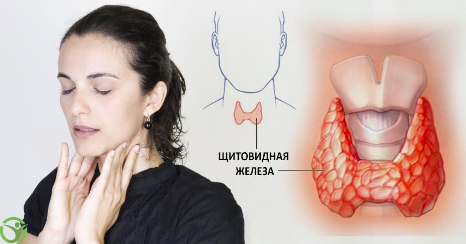 Заболевания щитовидной железы: симптомы и лечение 