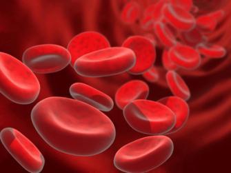 Гематокрит: норма у женщин, причины его повышения и понижения в крови