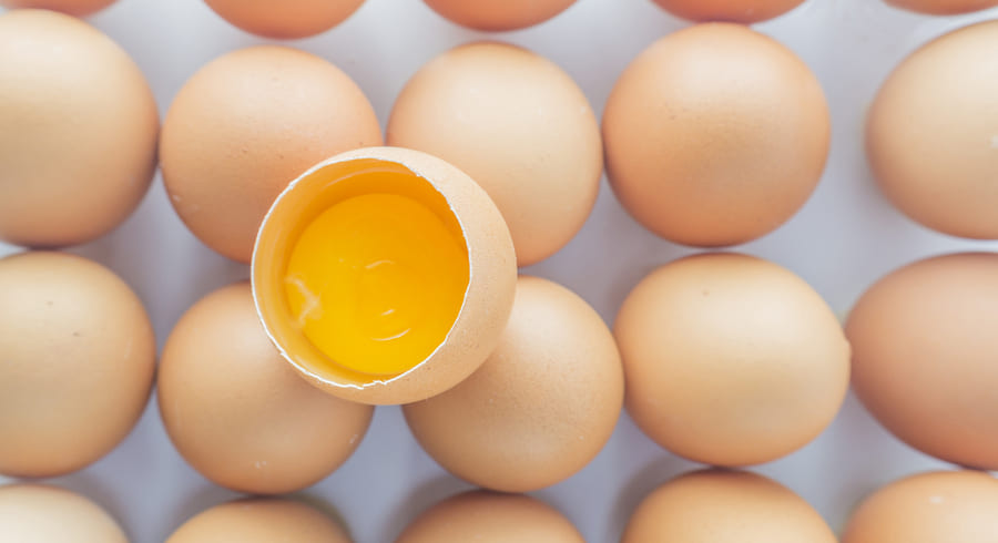 
                                    Насколько опасны яйца и продукты, содержащие холестерин?                                