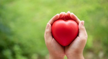 
                                    Частые вопросы о влиянии продуктов на здоровье сердца                                