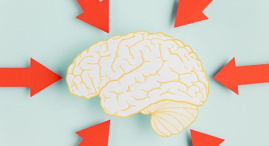 
                                    Какие витамины нужны нашему мозгу?                                