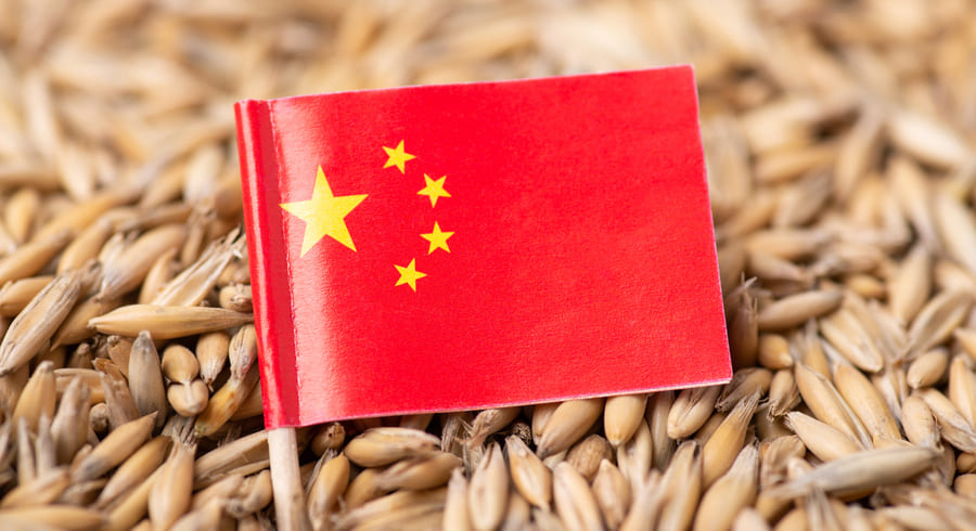 
                                    Почему продукты из Китая могут быть опасны для жизни                                