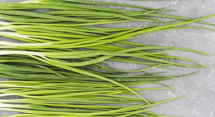 
                                    Зеленый лук – спасение от зимнего авитаминоза                                